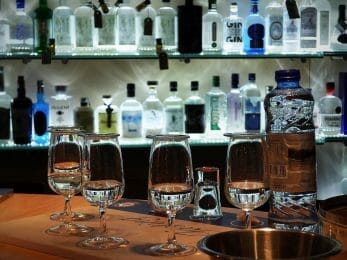 Gin Tasting 57 Gin Tasting e1582976217118