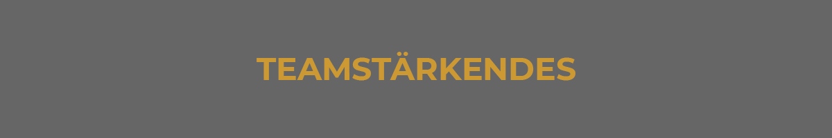Western Games 4 TEAMSTARKENDES