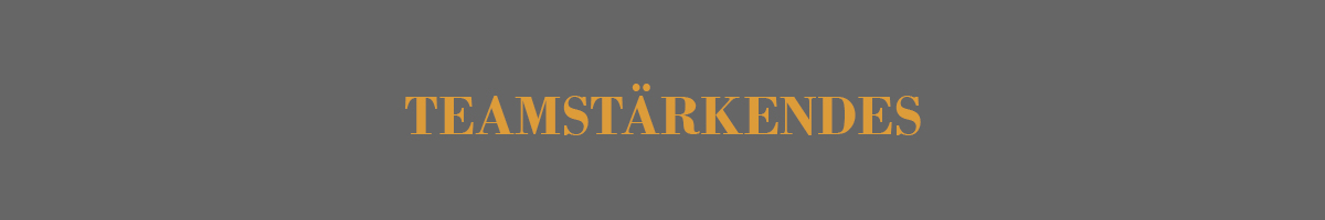 Teamwork Teambuilding im eigenen Unternehmen 5 TEAMSTARKENDES