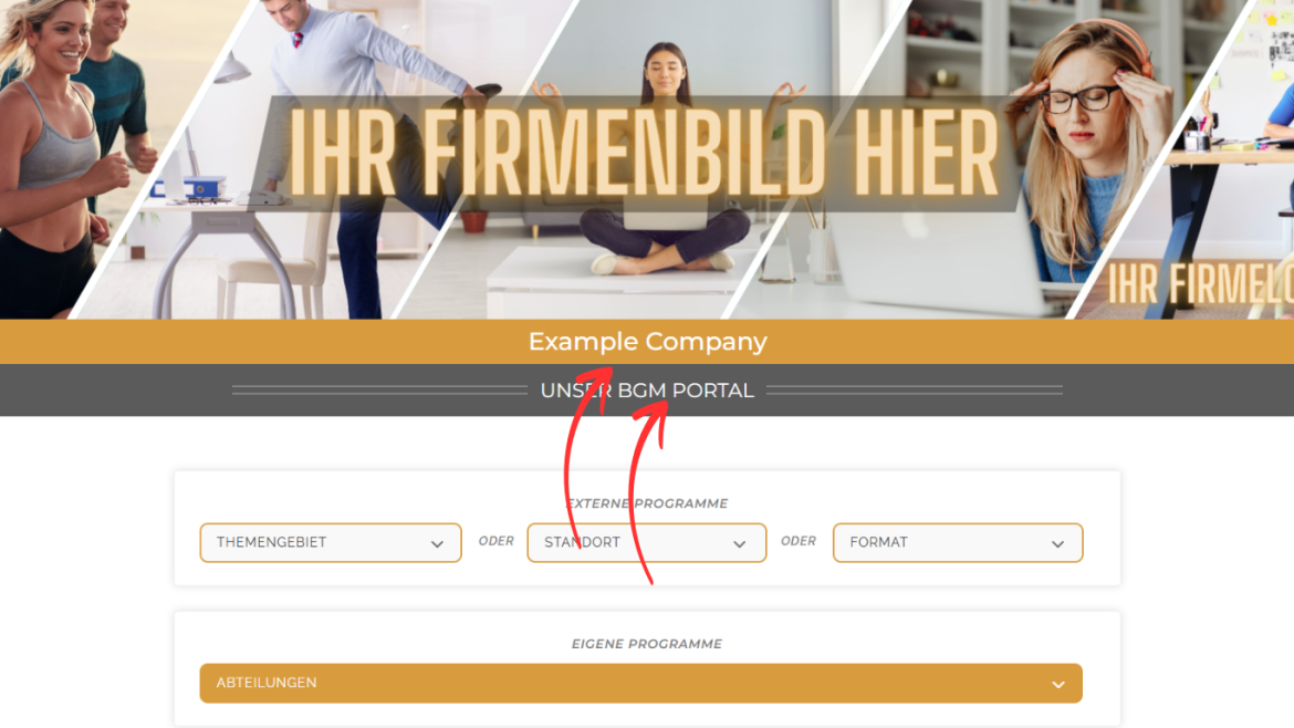 Anleitung_BGM-Portal_Example Company_Erstellung Programme 4 4